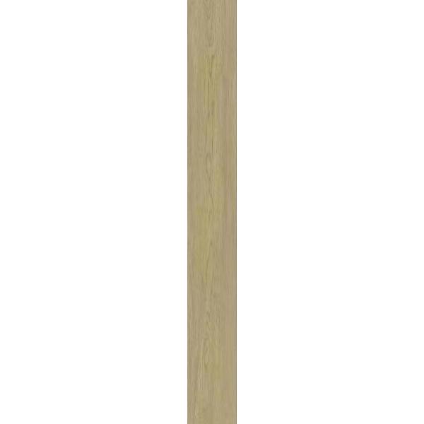 XFV2213 Autumn Oak